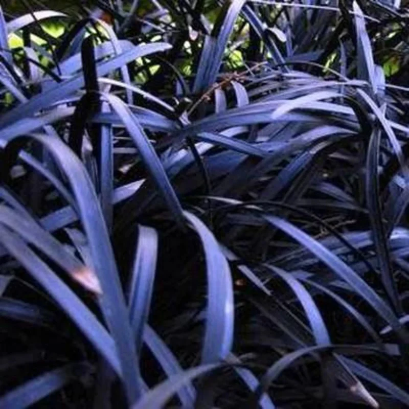 Produktbild 4